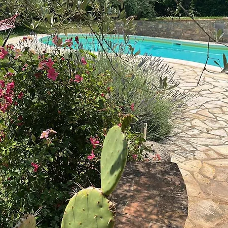 Tatil Evi Casa Delle Rondini